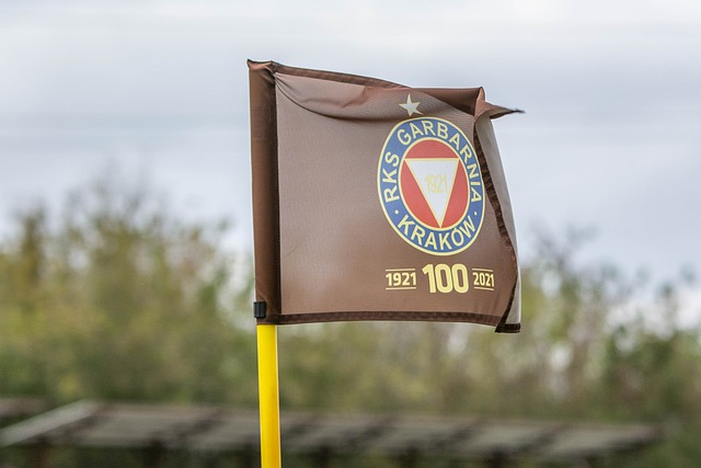 头的初期也 头的初期也