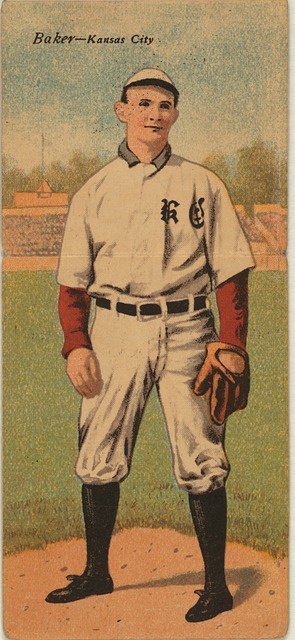 利亚板球协 利亚板球协