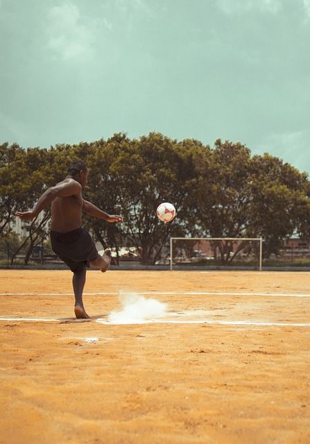 恰恰揭示了 恰恰揭示了