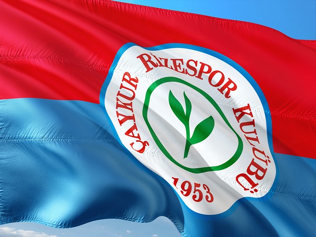 的合作关系 的合作关系