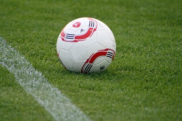 2024重庆马拉松赛男女均破赛会纪录.