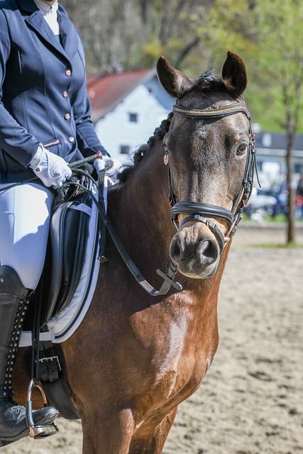 人才储备上 人才储备上