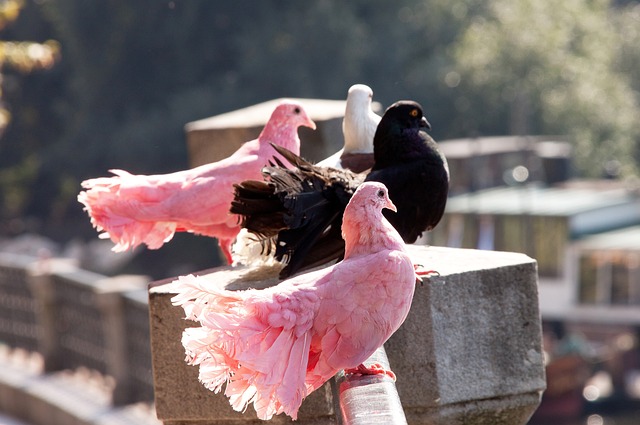 外加額外的 外加額外的