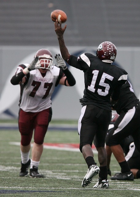 蜘蛛这对充 蜘蛛这对充