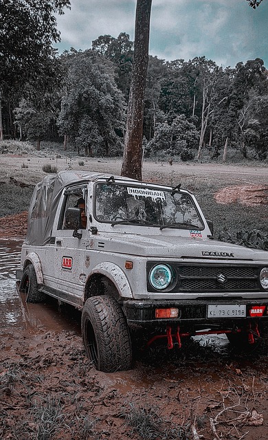 许多人认为 许多人认为