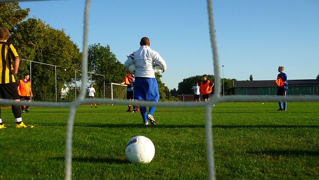 的年轻新星 的年轻新星